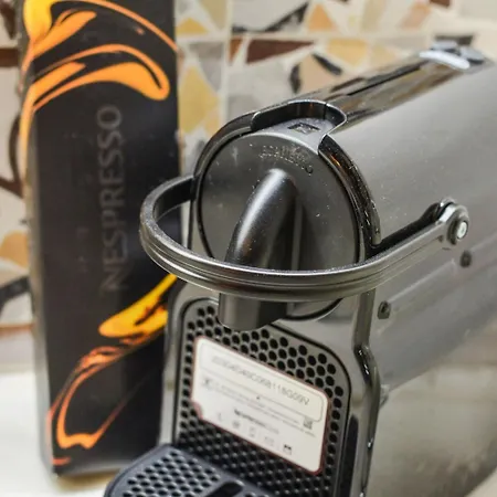 Traditional Sirma In Appartement *