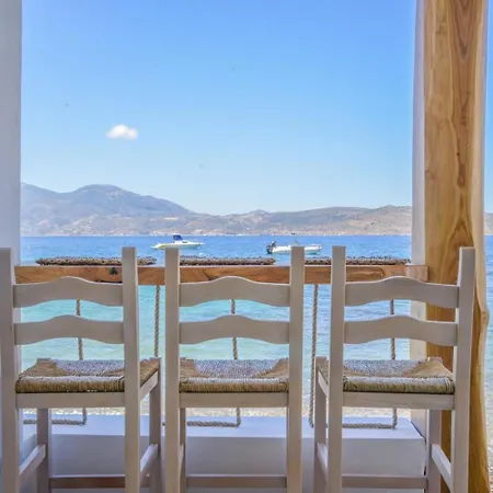 Traditional Sirma In Appartement *