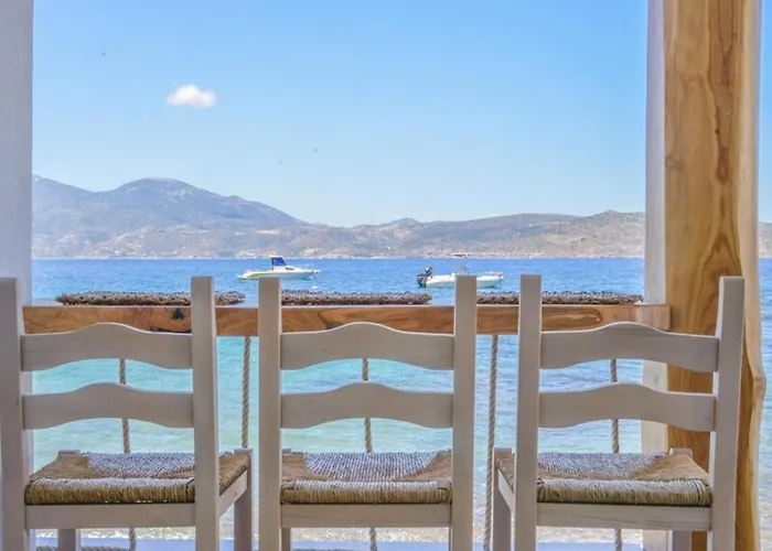 Traditional Sirma In Apartament *